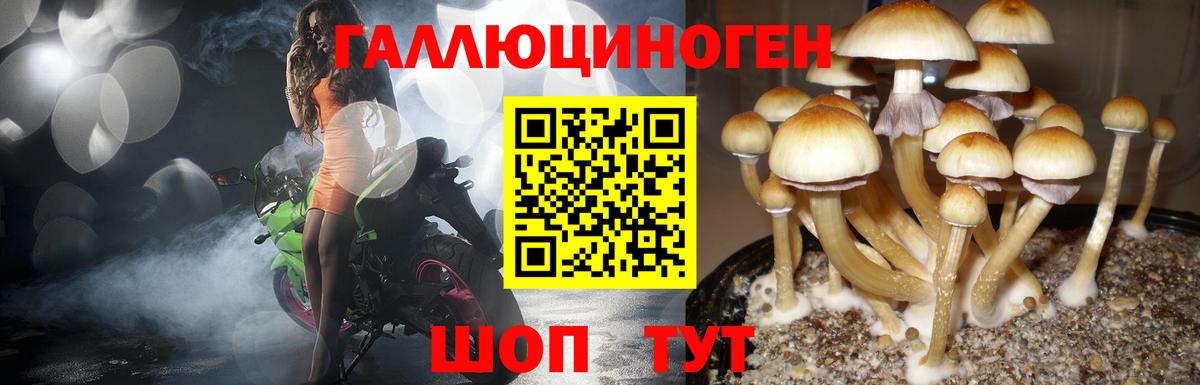 Галлюциногенные грибы ЛСД Саяногорск